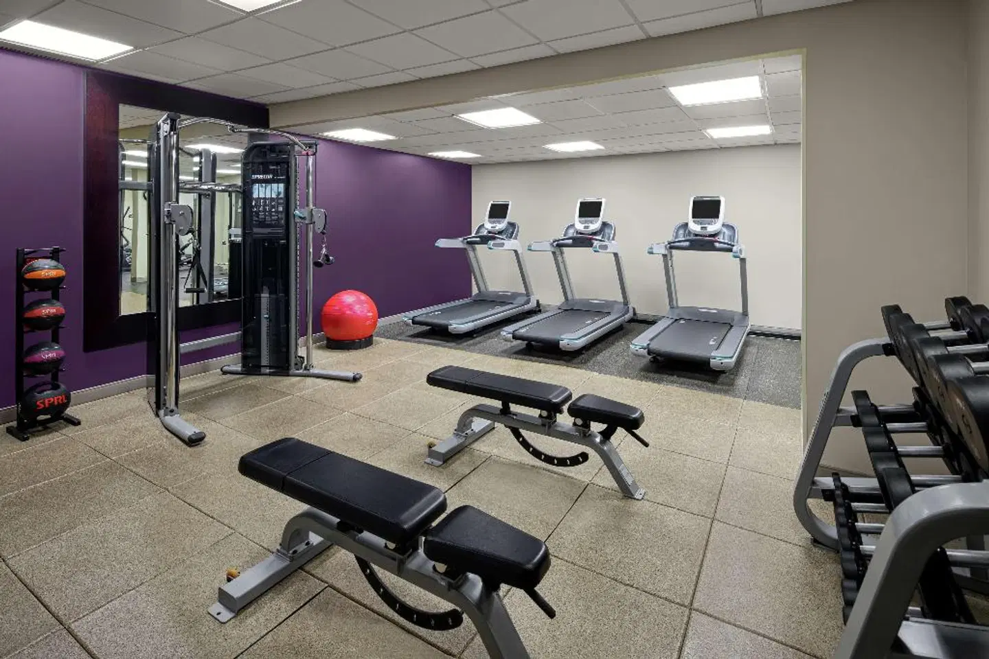 DoubleTree Suites by Hilton Charlotte/SouthPark SPORTS_AND_LEISURE