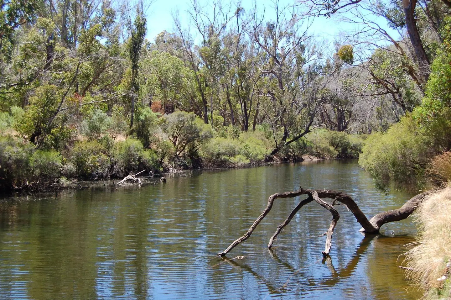 Beyonderup Falls Adult Retreat Tiere