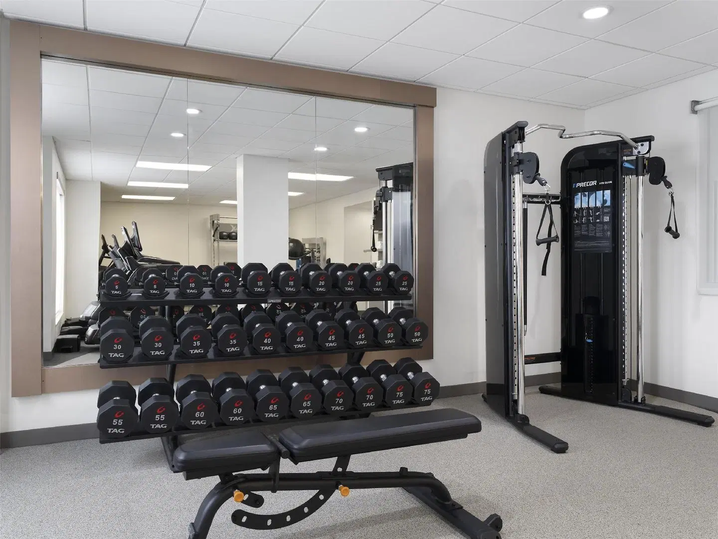 Hilton Garden Inn Indianapolis Northeast/Fishers Konferenz