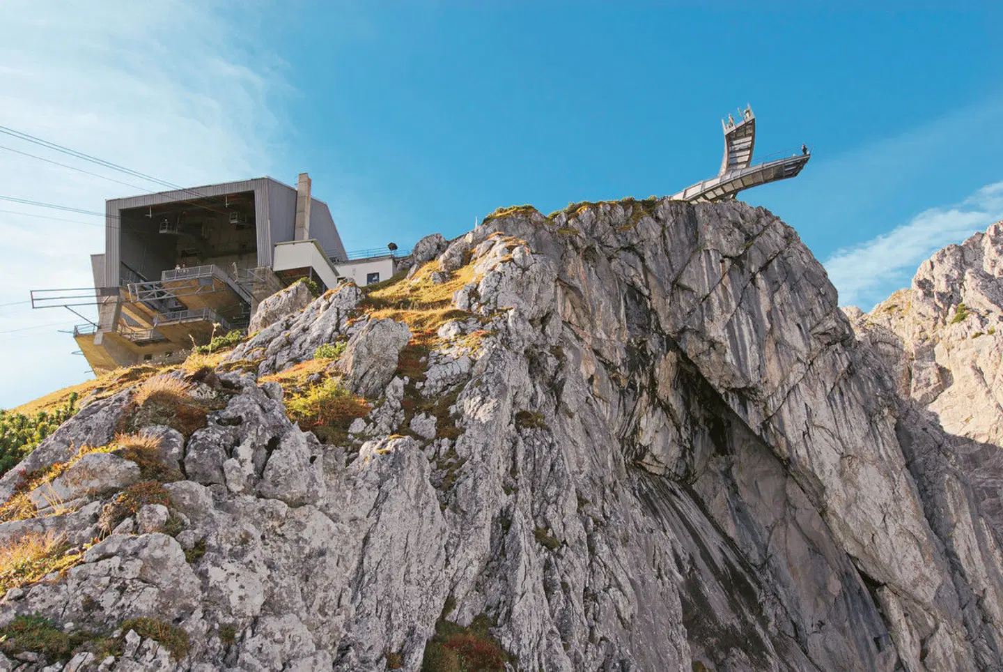 Alpenüberquerung von Garmisch nach Sterzing Tiere