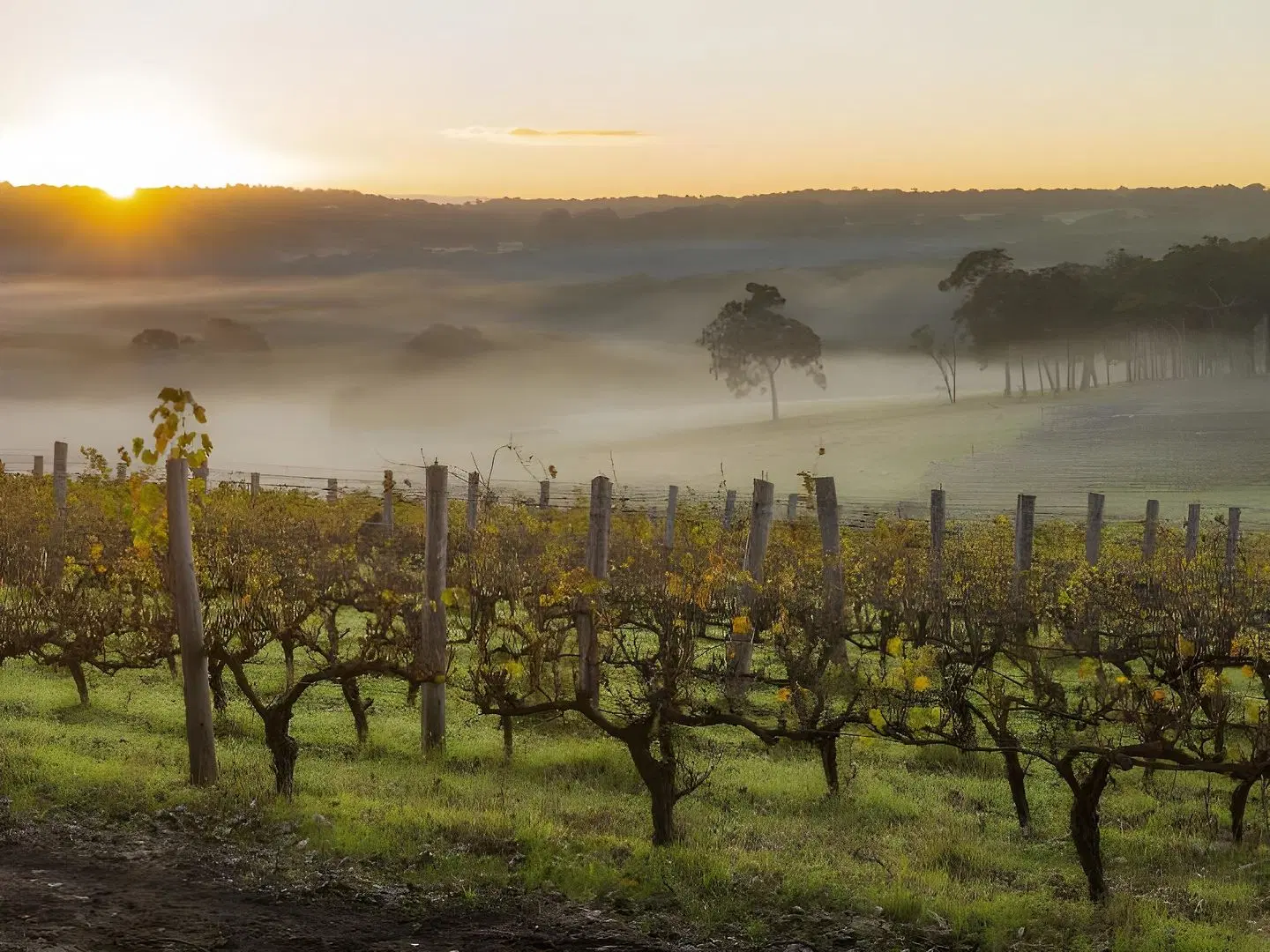 Margaret River Hideaway & Farmstay LANDSCAPE