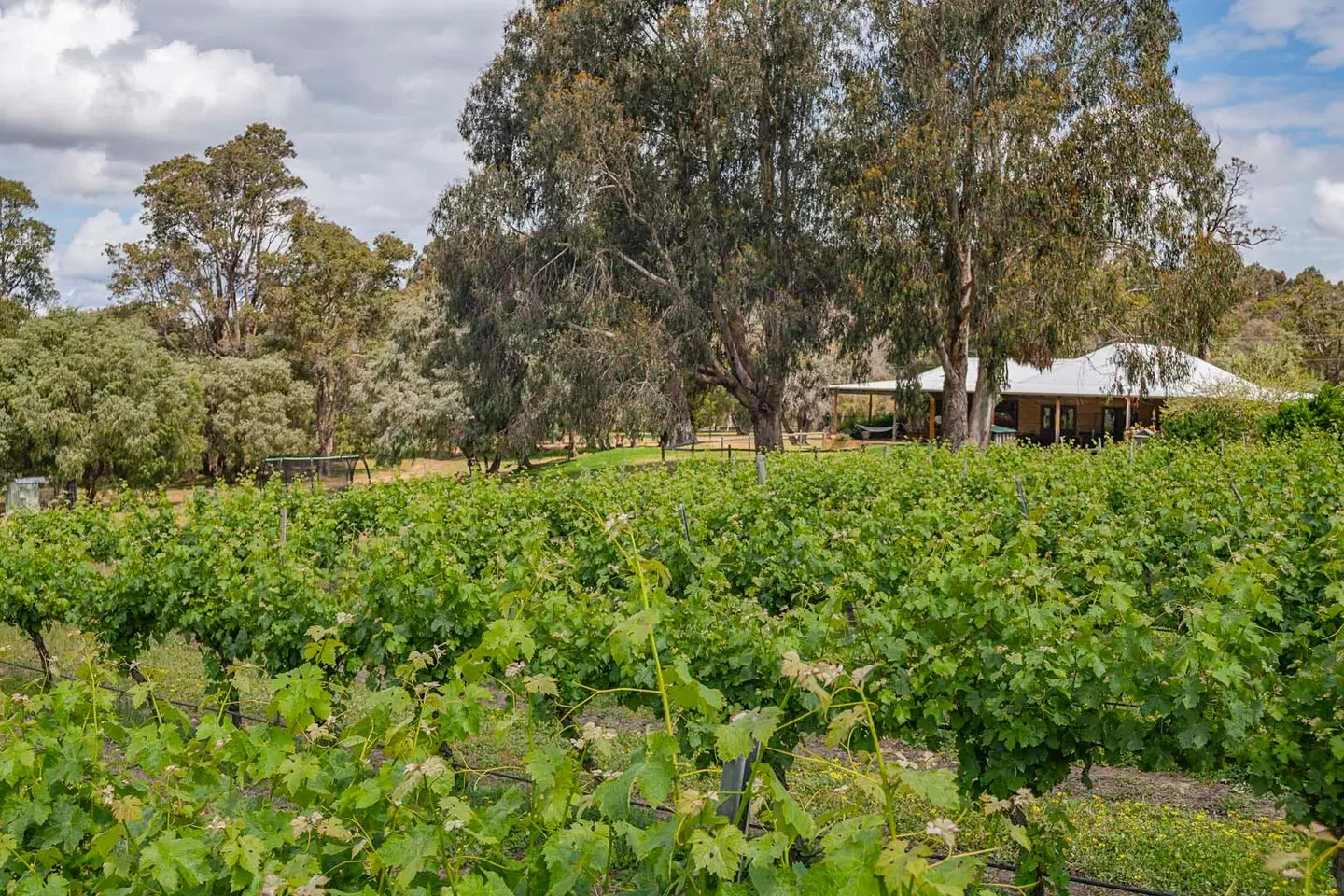 Island Brook Estate Winery and Chalets Garten