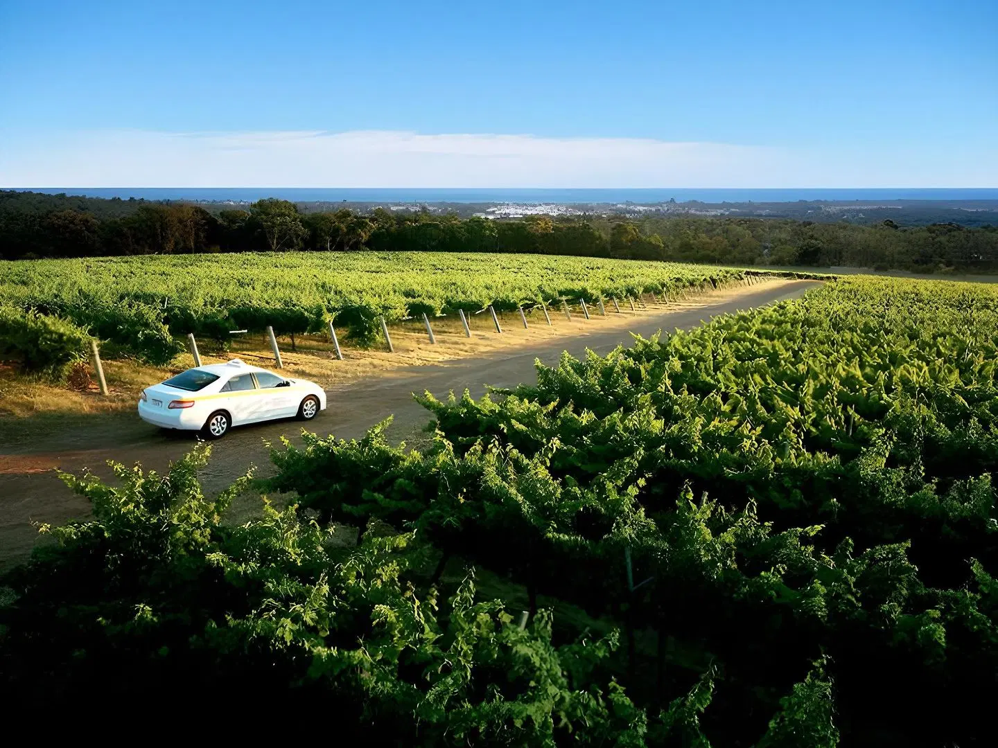 Margaret River Hideaway & Farmstay SPORTS_AND_LEISURE