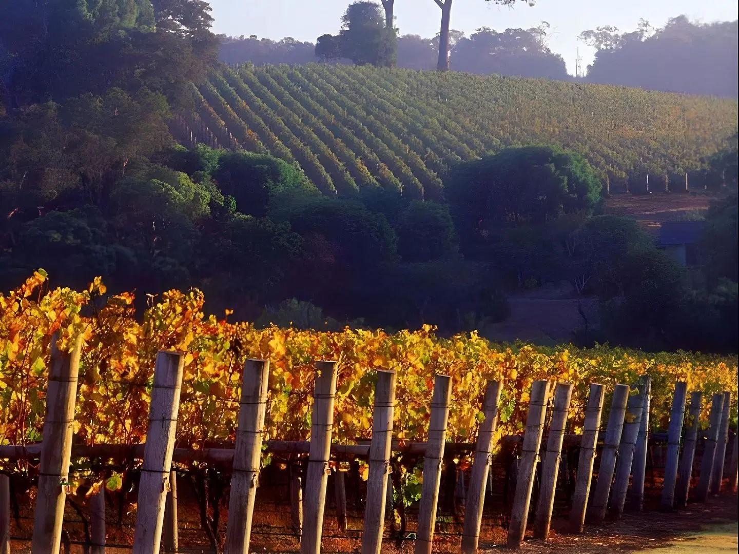 Margaret River Hideaway & Farmstay LANDSCAPE