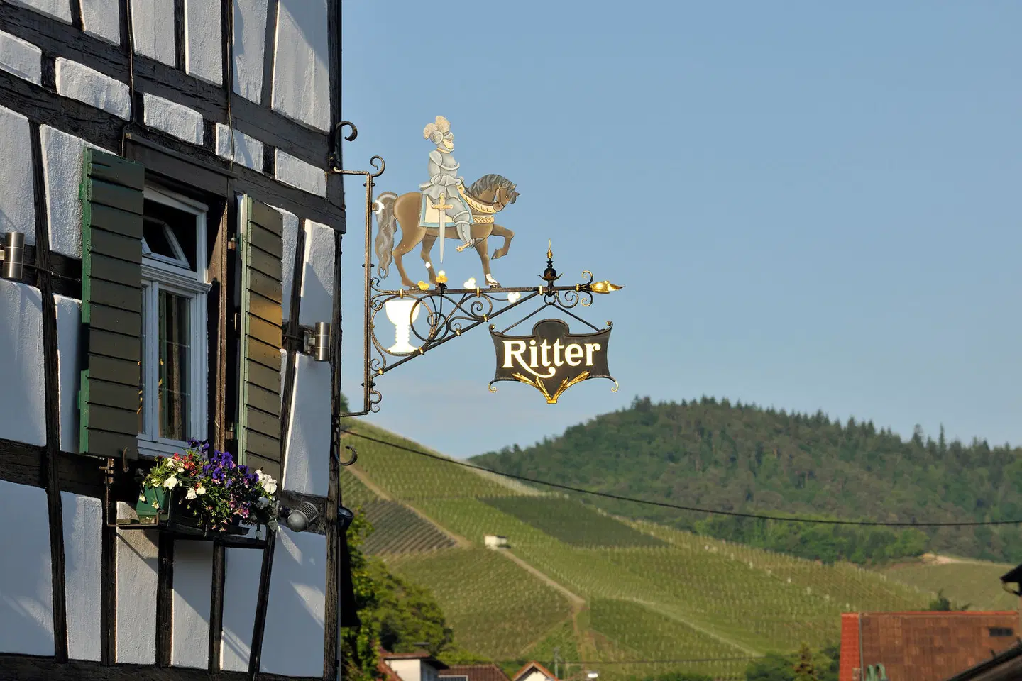 Ritter LANDSCAPE