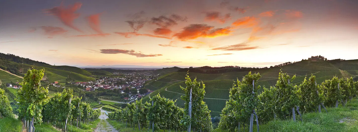 Ritter LANDSCAPE