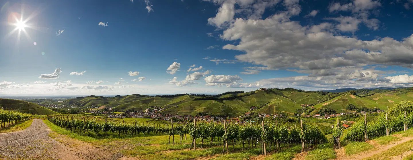 Ritter LANDSCAPE