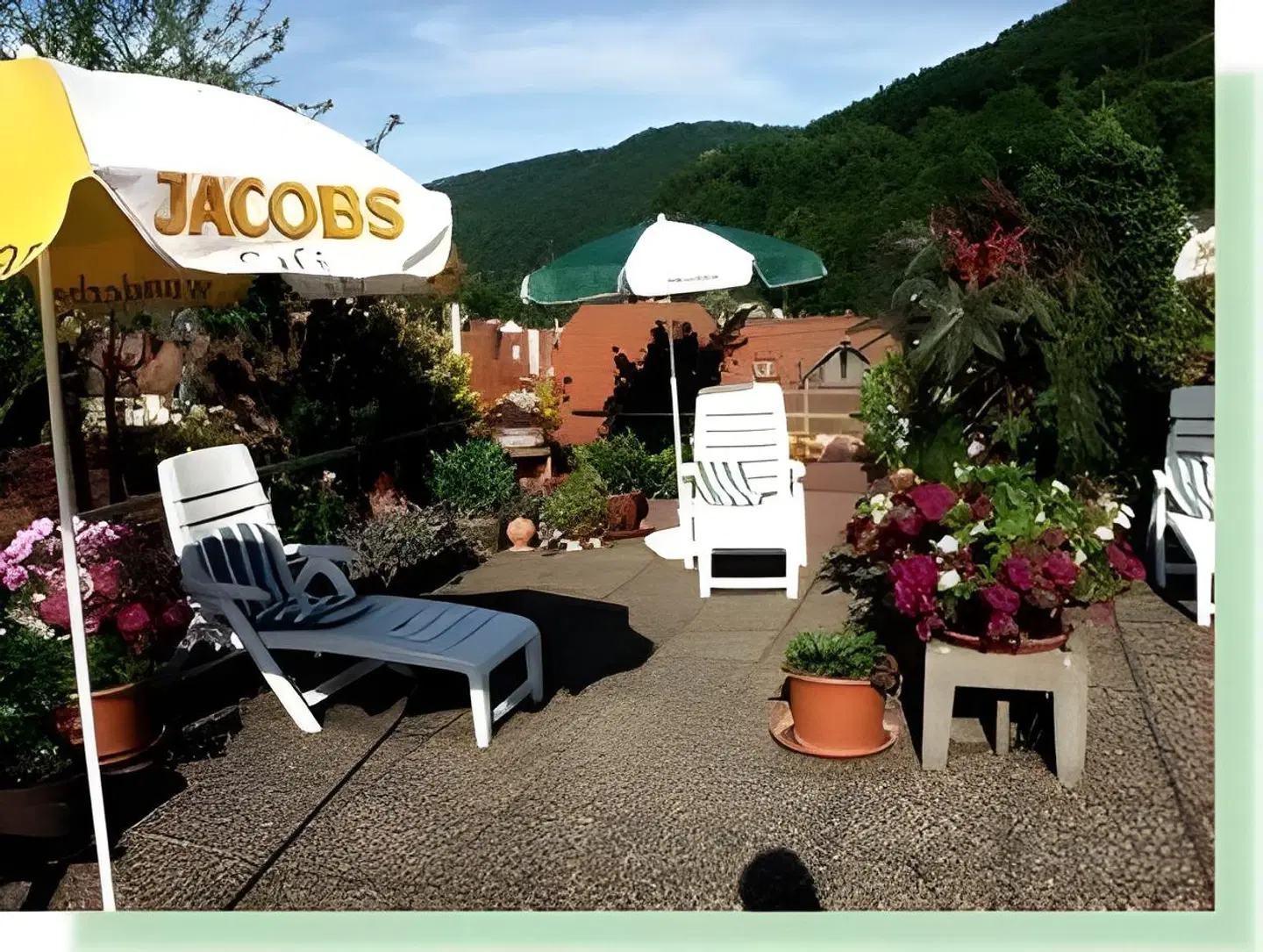 Buck mit Gästehaus Garten