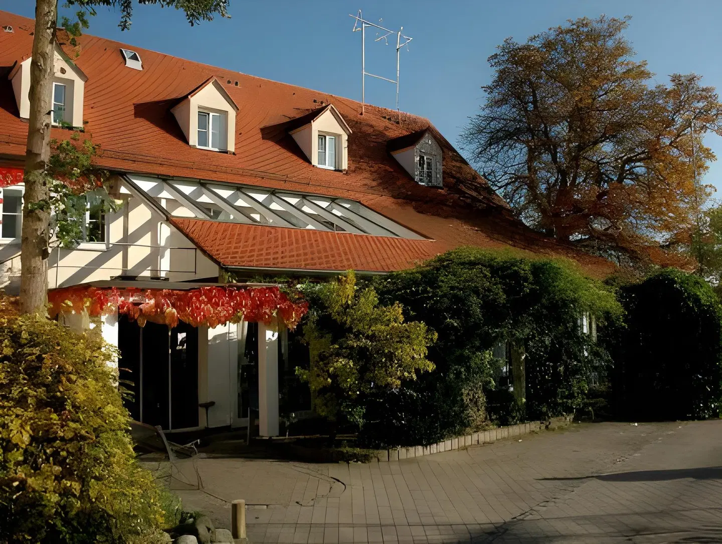Engel EXTERIOR