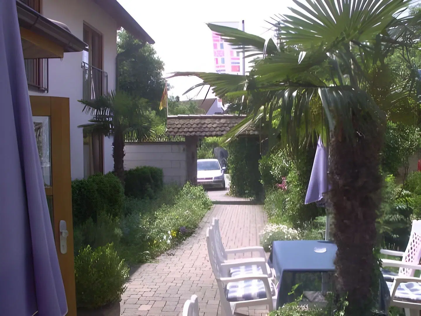 Blume Garten