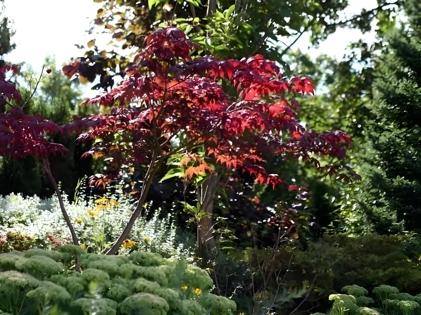 In der Breite Garten