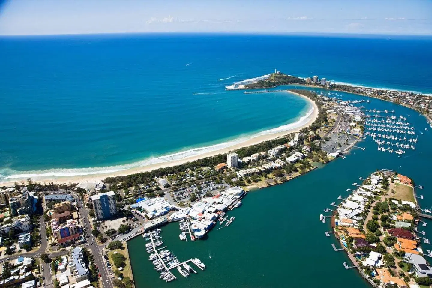 Pandanus Mooloolaba LANDSCAPE