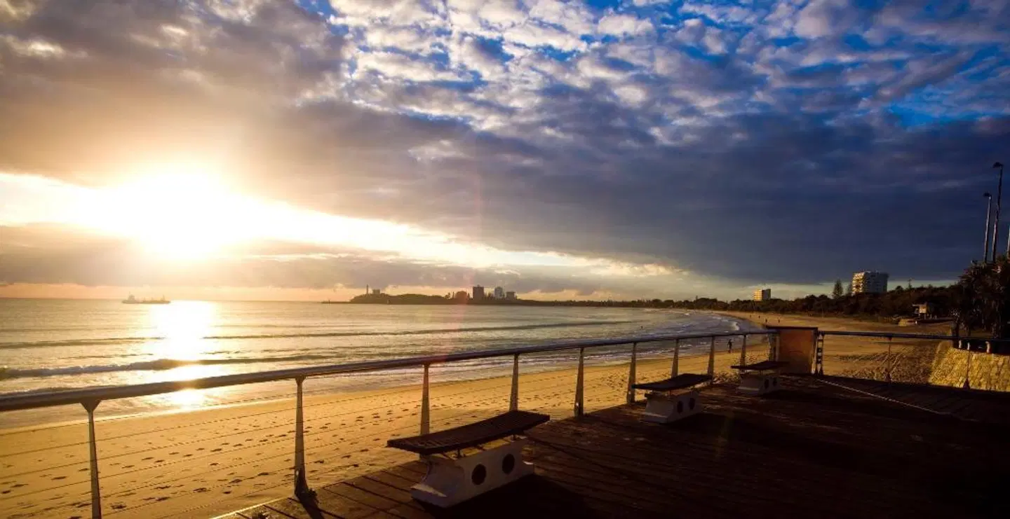 Pandanus Mooloolaba Strand