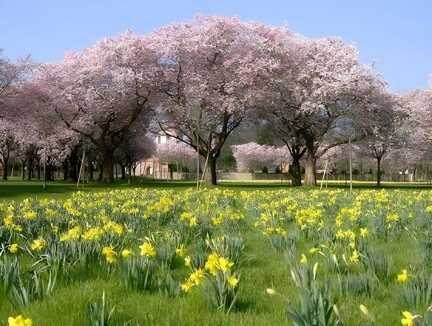Villa Benz LANDSCAPE