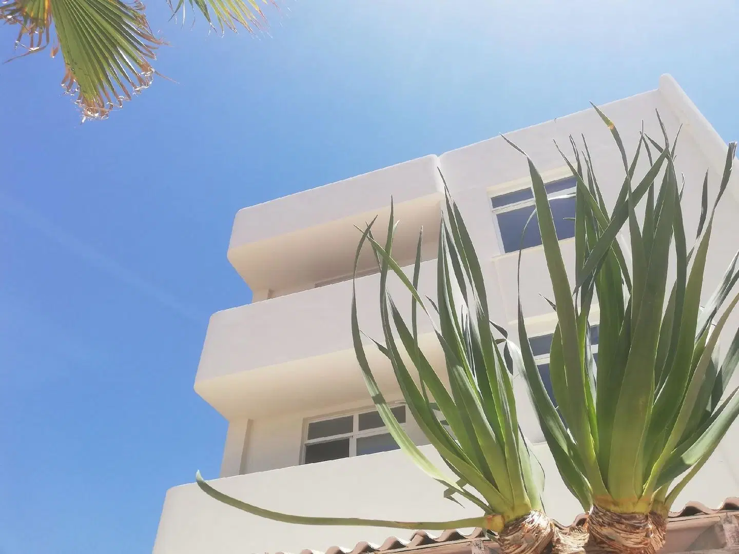 Apartamentos Ibiza Terrasse