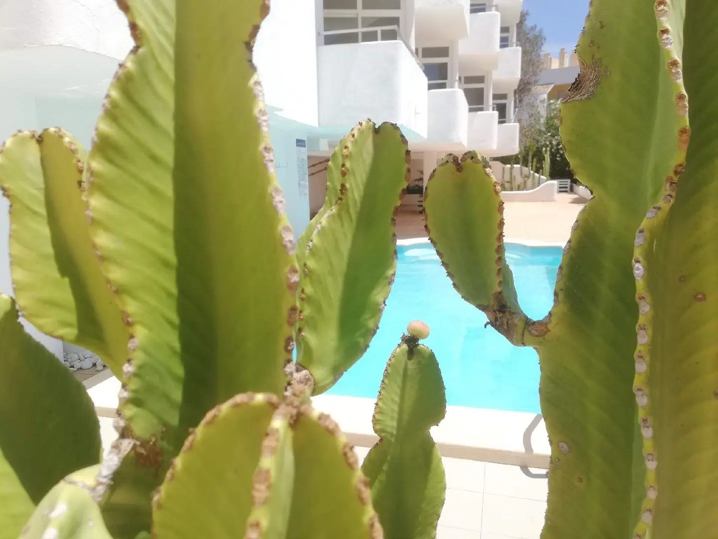 Apartamentos Ibiza EXTERIOR
