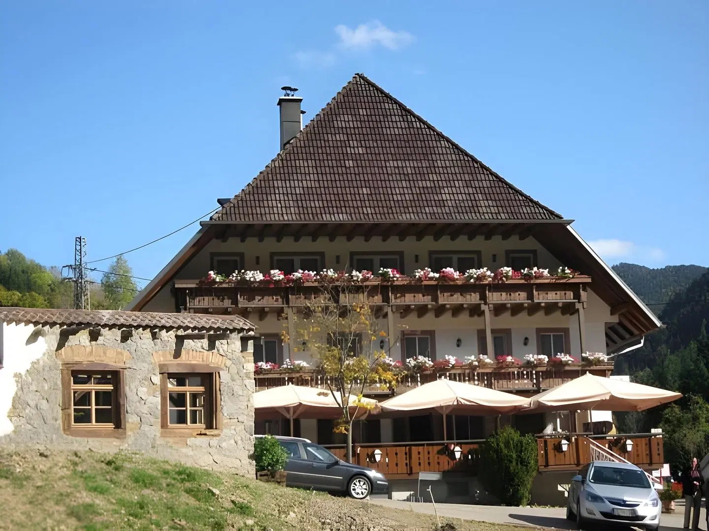 Grüner Baum EXTERIOR