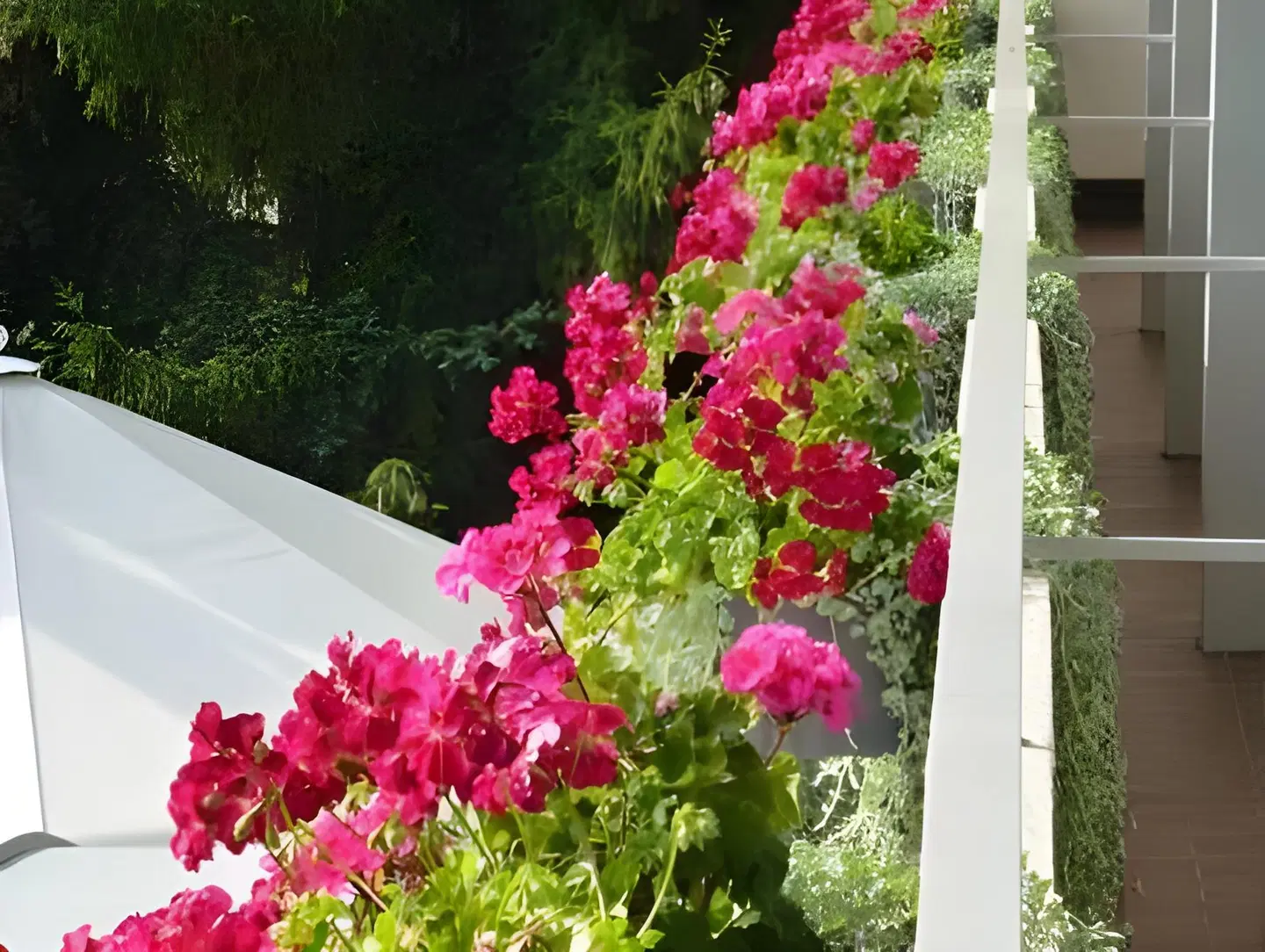 Zur Flüh Garten
