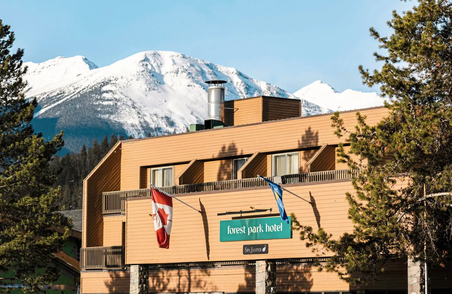 Forest Park Hotel EXTERIOR