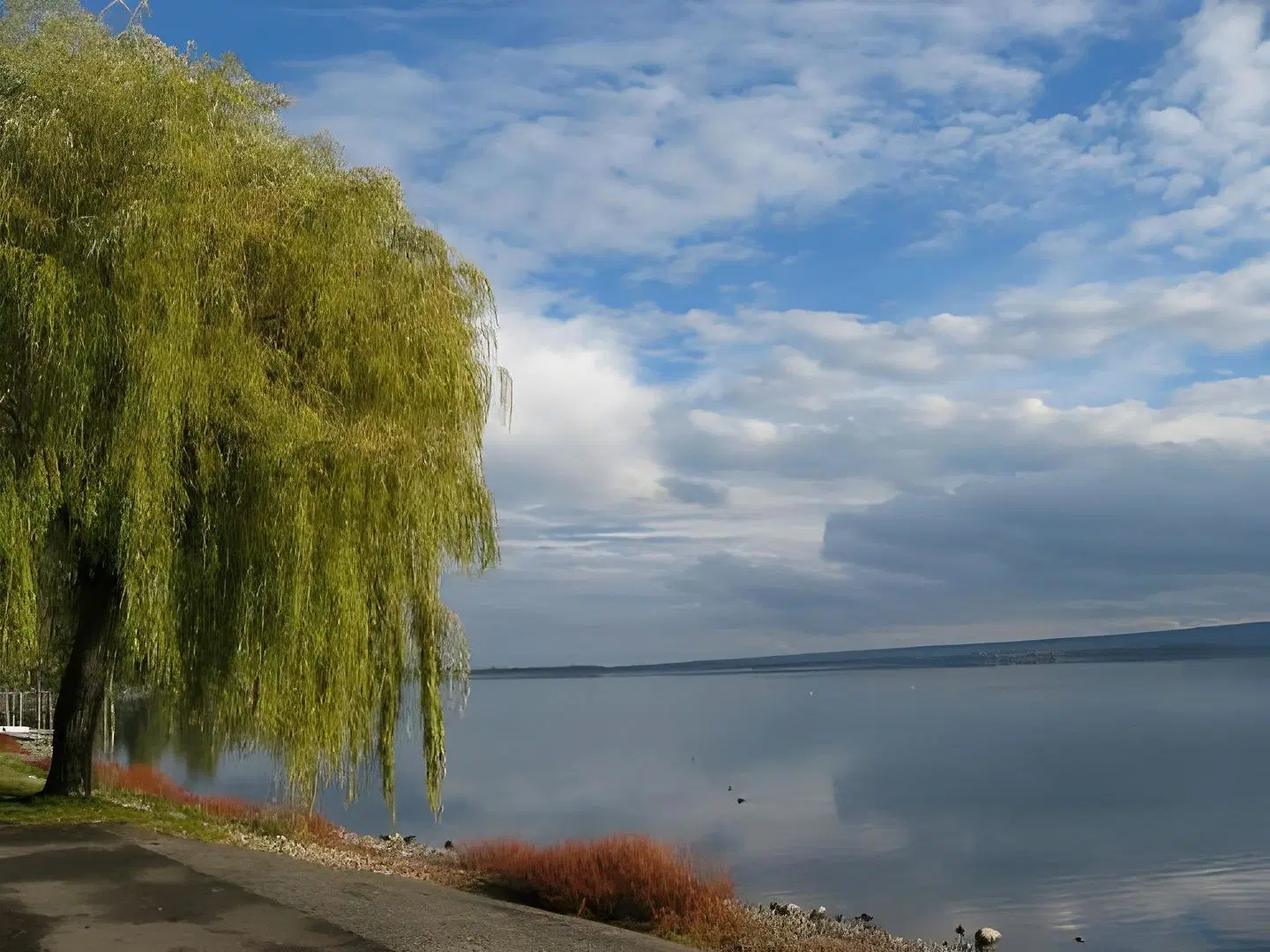 Am Stadtgarten Strand