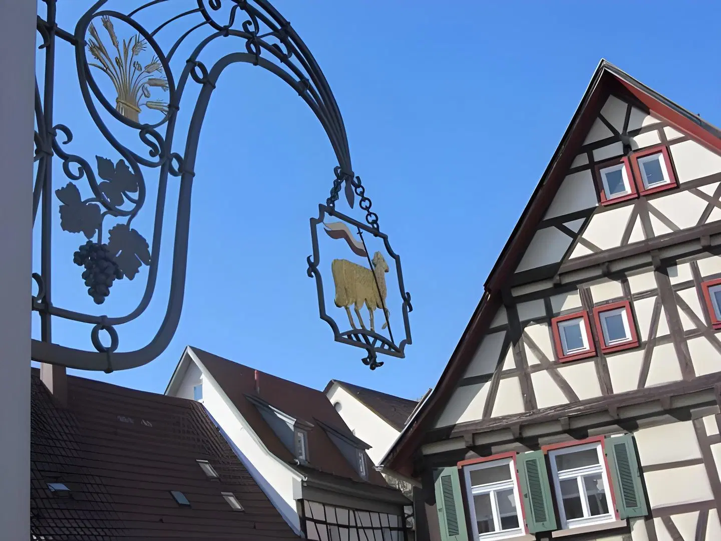 Lamm EXTERIOR