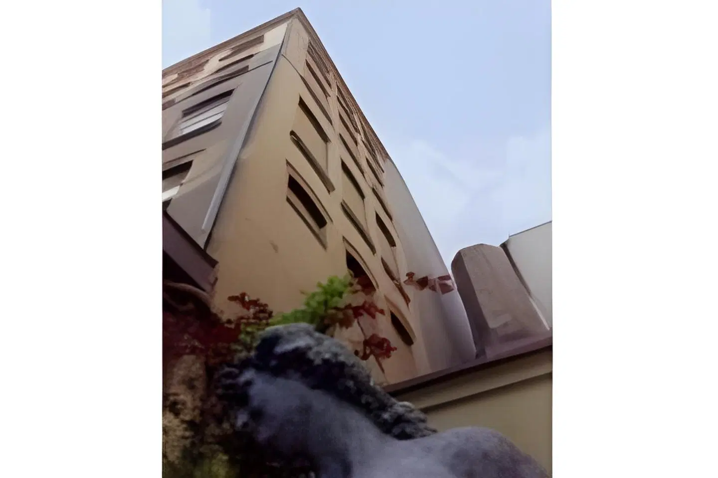 Pension Pharmador EXTERIOR