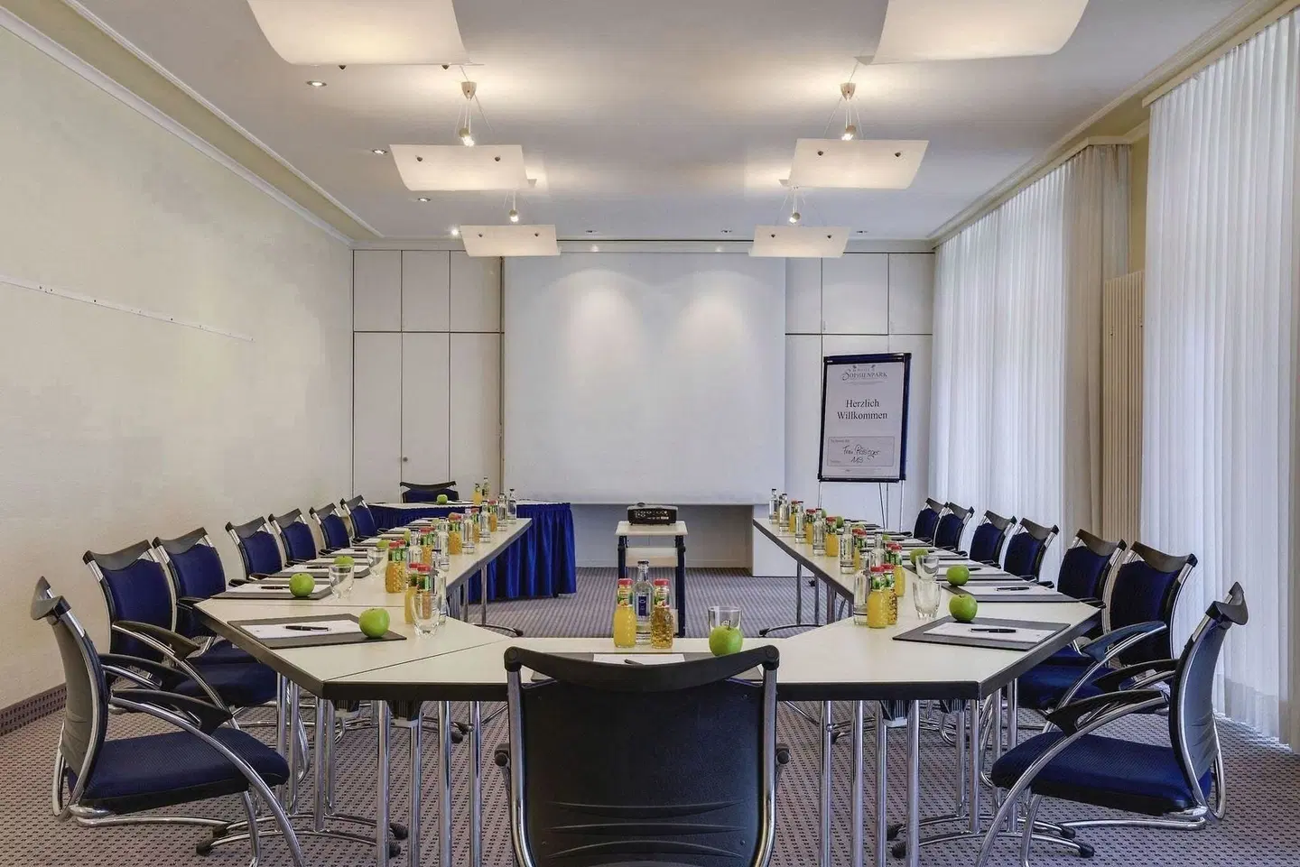 Hotel am Sophienpark Konferenz