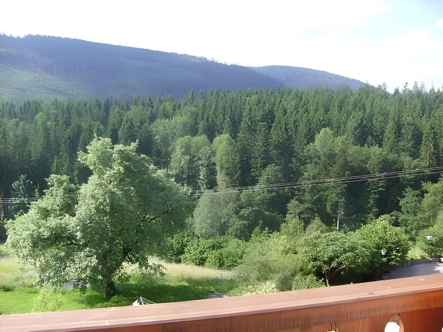 Hirsch LANDSCAPE