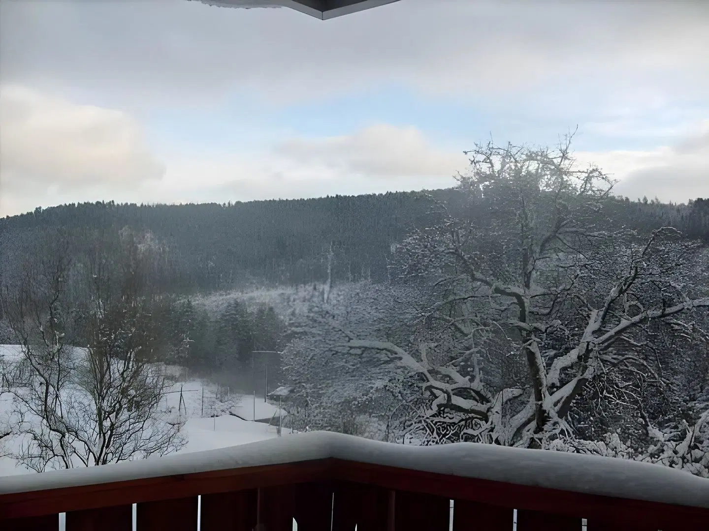 Hirsch LANDSCAPE