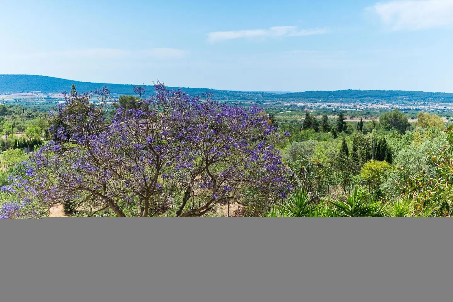 ES Pinar LANDSCAPE