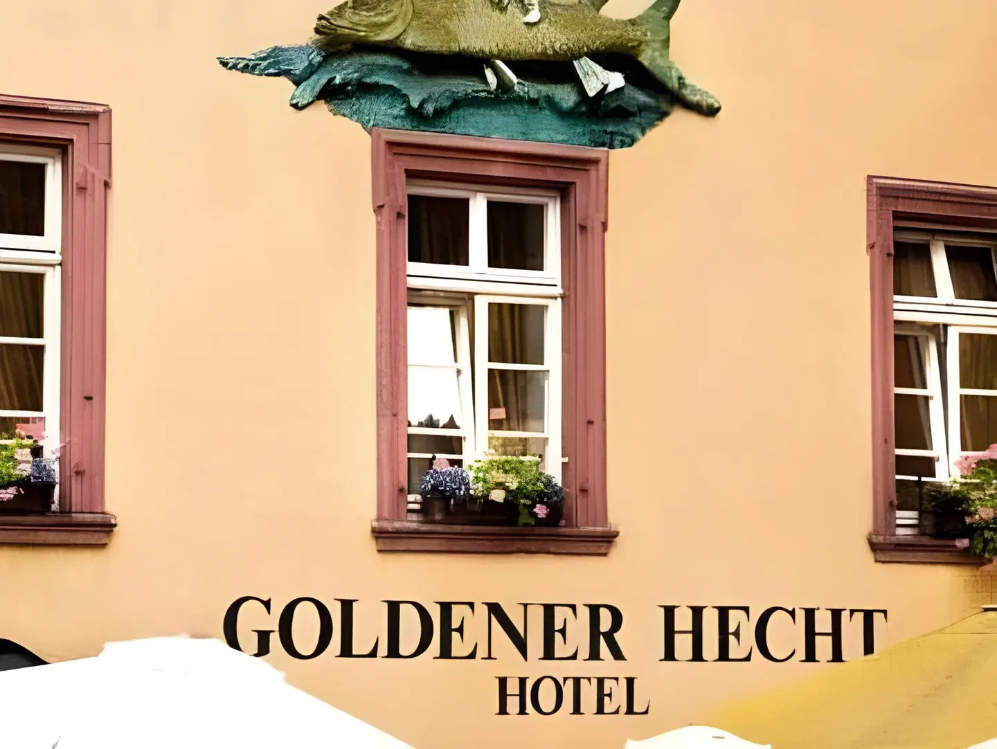 Goldener Hecht EXTERIOR