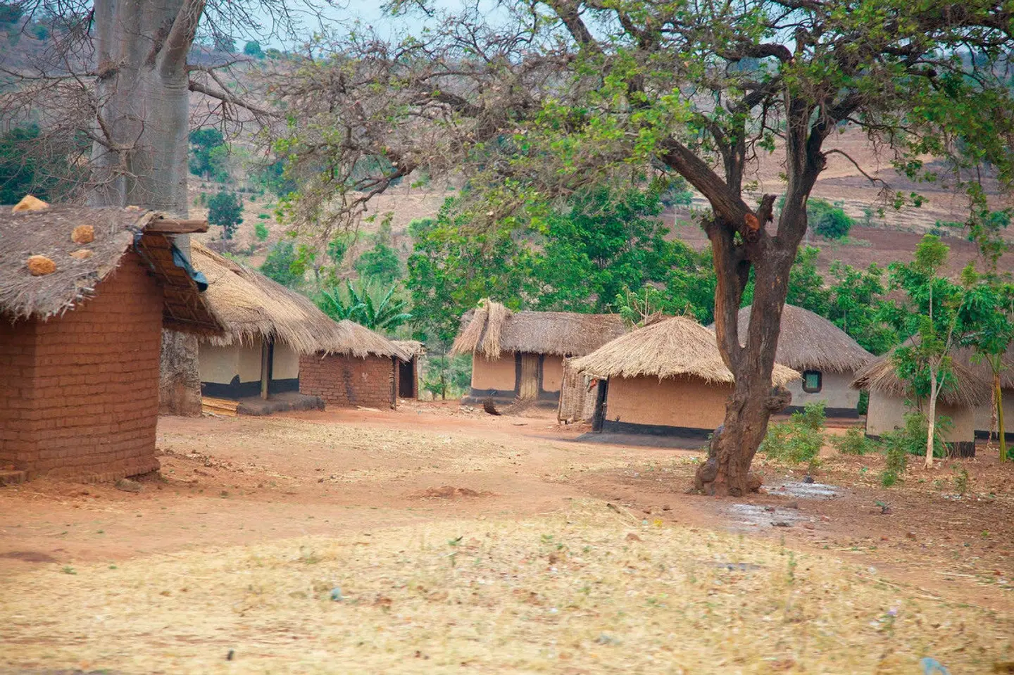 Malawi Rundreise Tiere