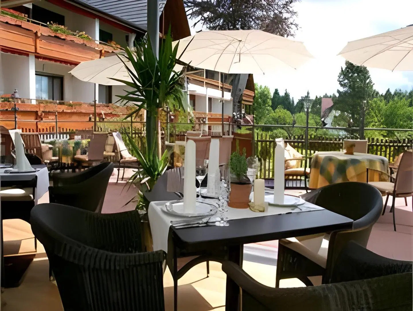 Grüner Wald Terrasse