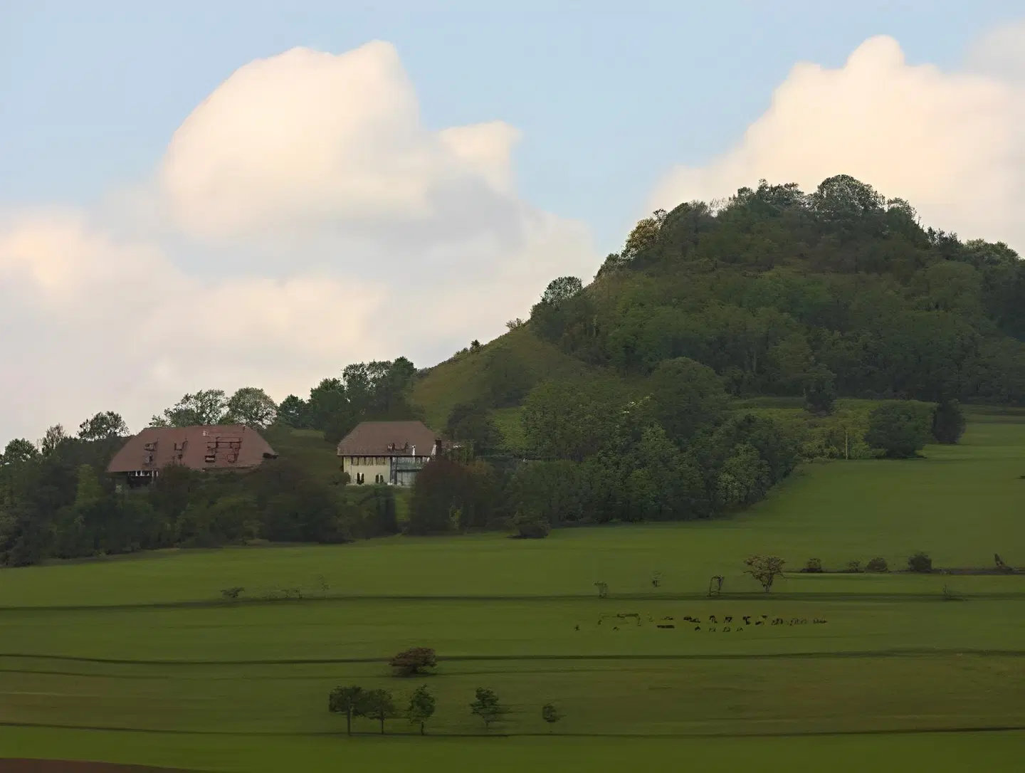 Hofgut Hohenkarpfen LANDSCAPE
