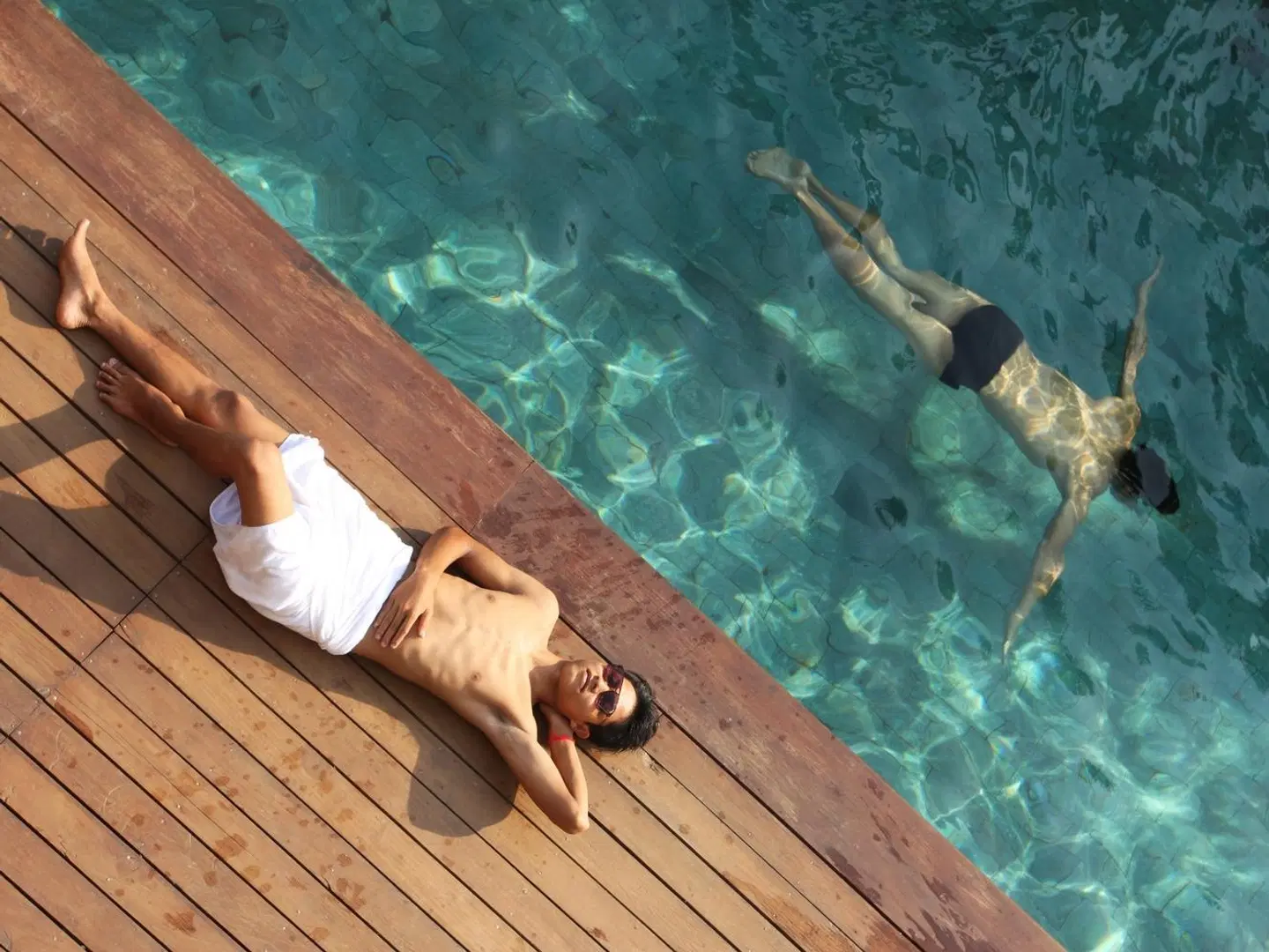 MEN's Resort & Spa (Gay Hotel) Tiere