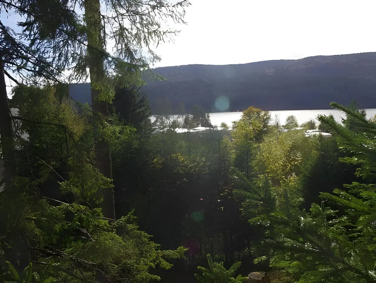 Villa Schwarzwald LANDSCAPE