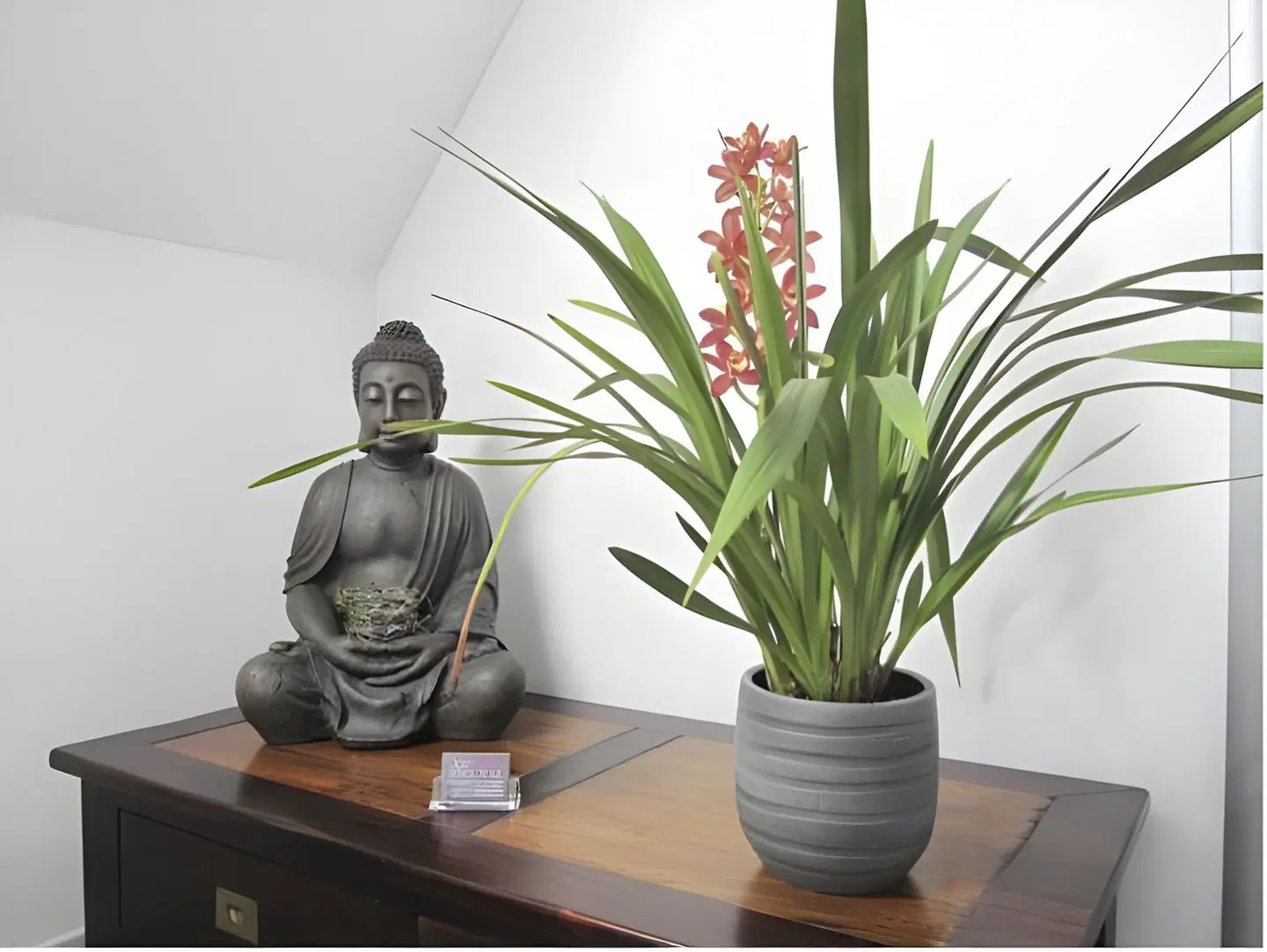 Dilger Apartments LOUNGE_LOBBY