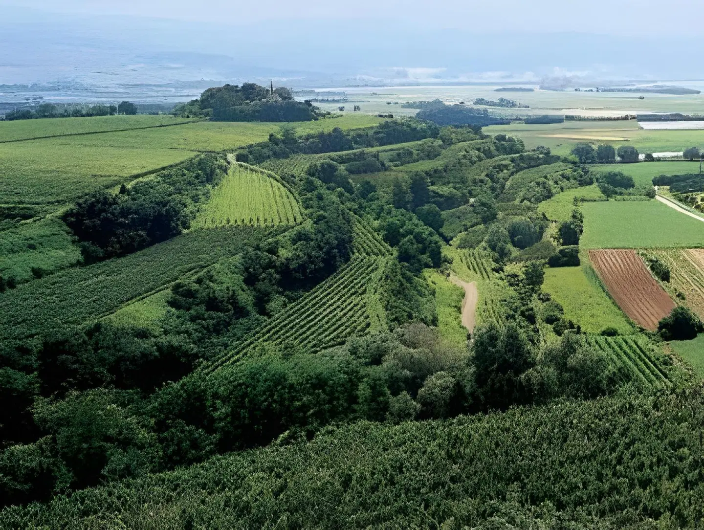 Gasthof Löwen LANDSCAPE