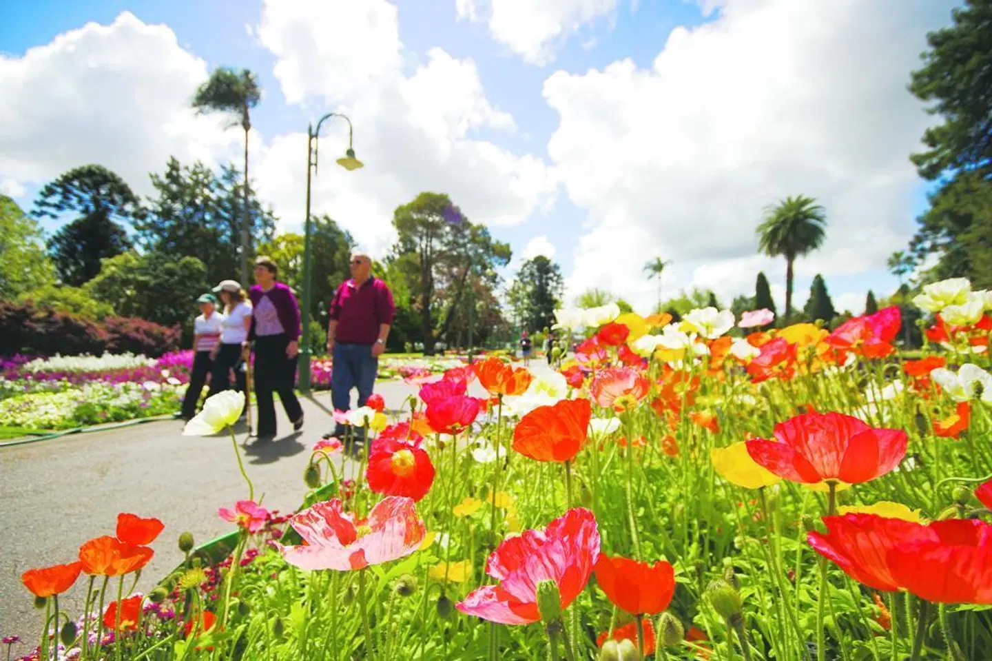Quest Toowoomba Garten