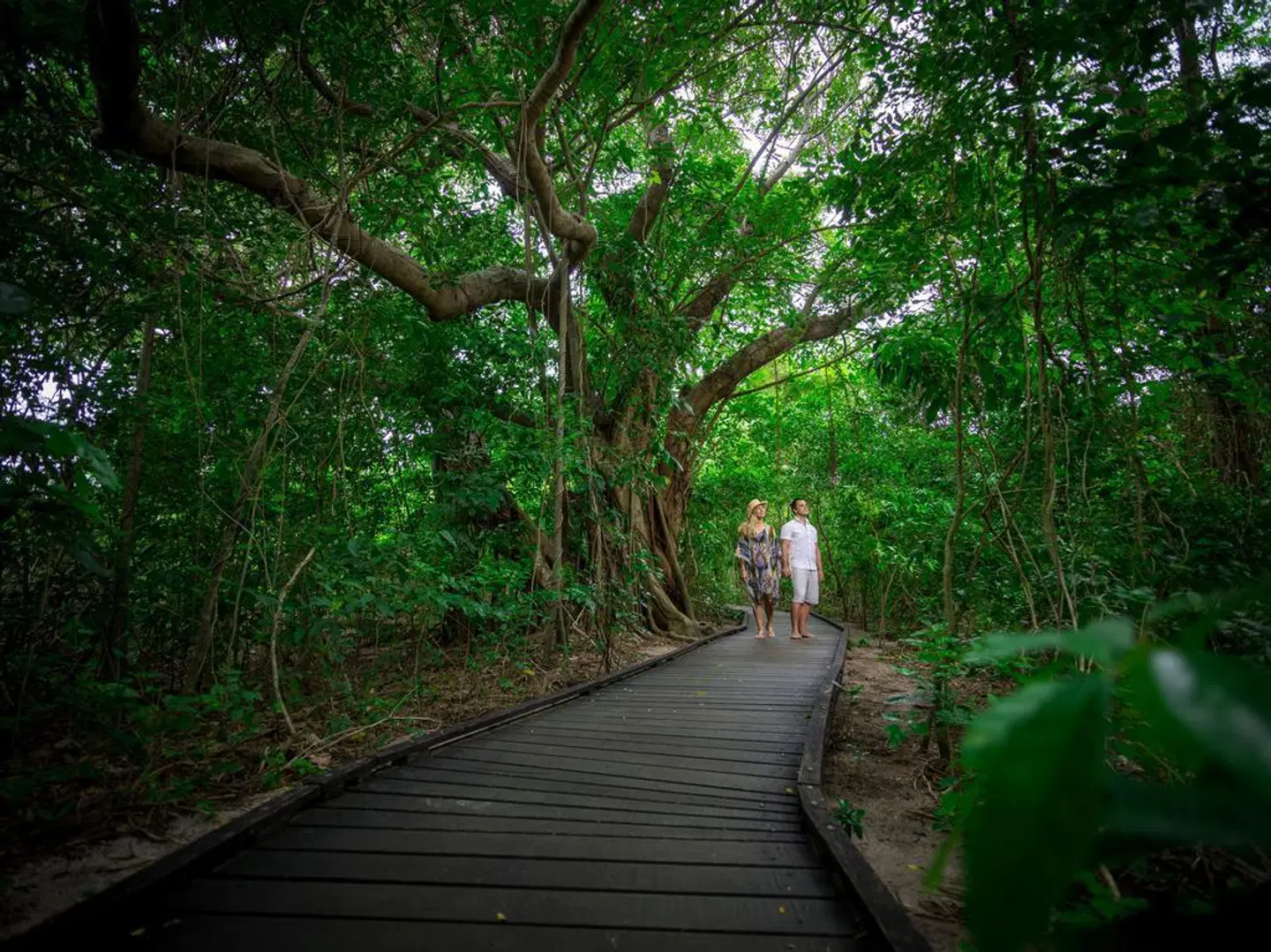 Green Island Resort Garten