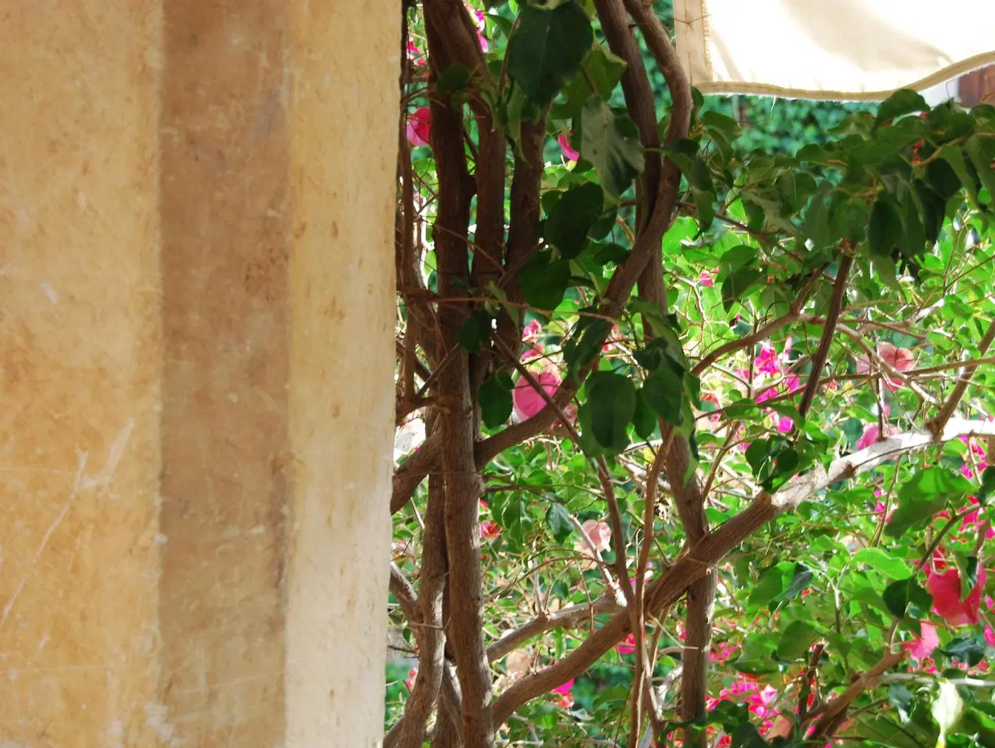 Agroturismo Son Vivot LANDSCAPE