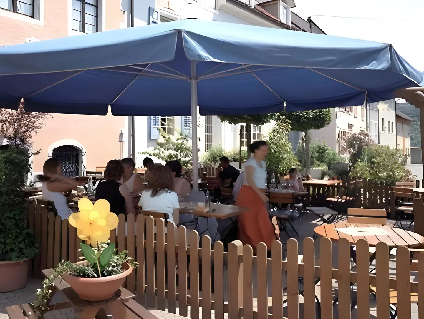 Rebstock Terrasse