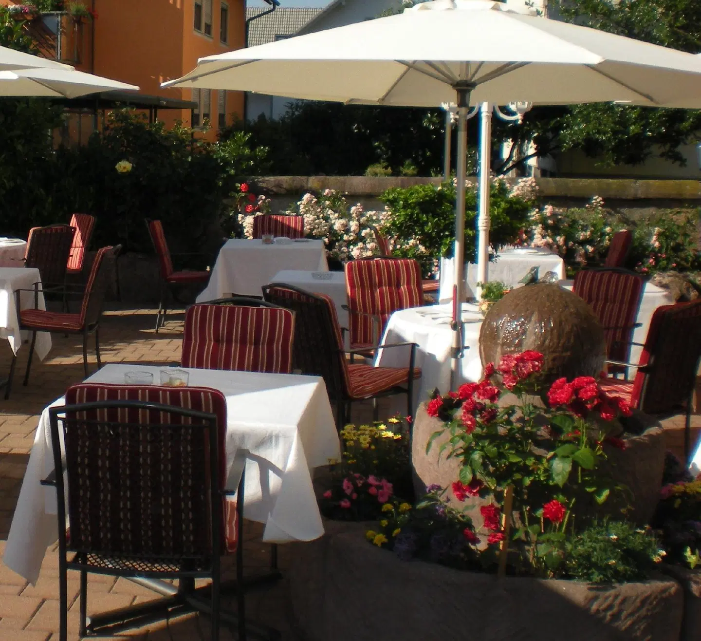 Hirsch Terrasse
