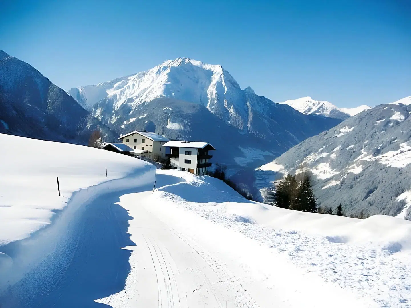 Berggasthaus Steinerkogl LANDSCAPE