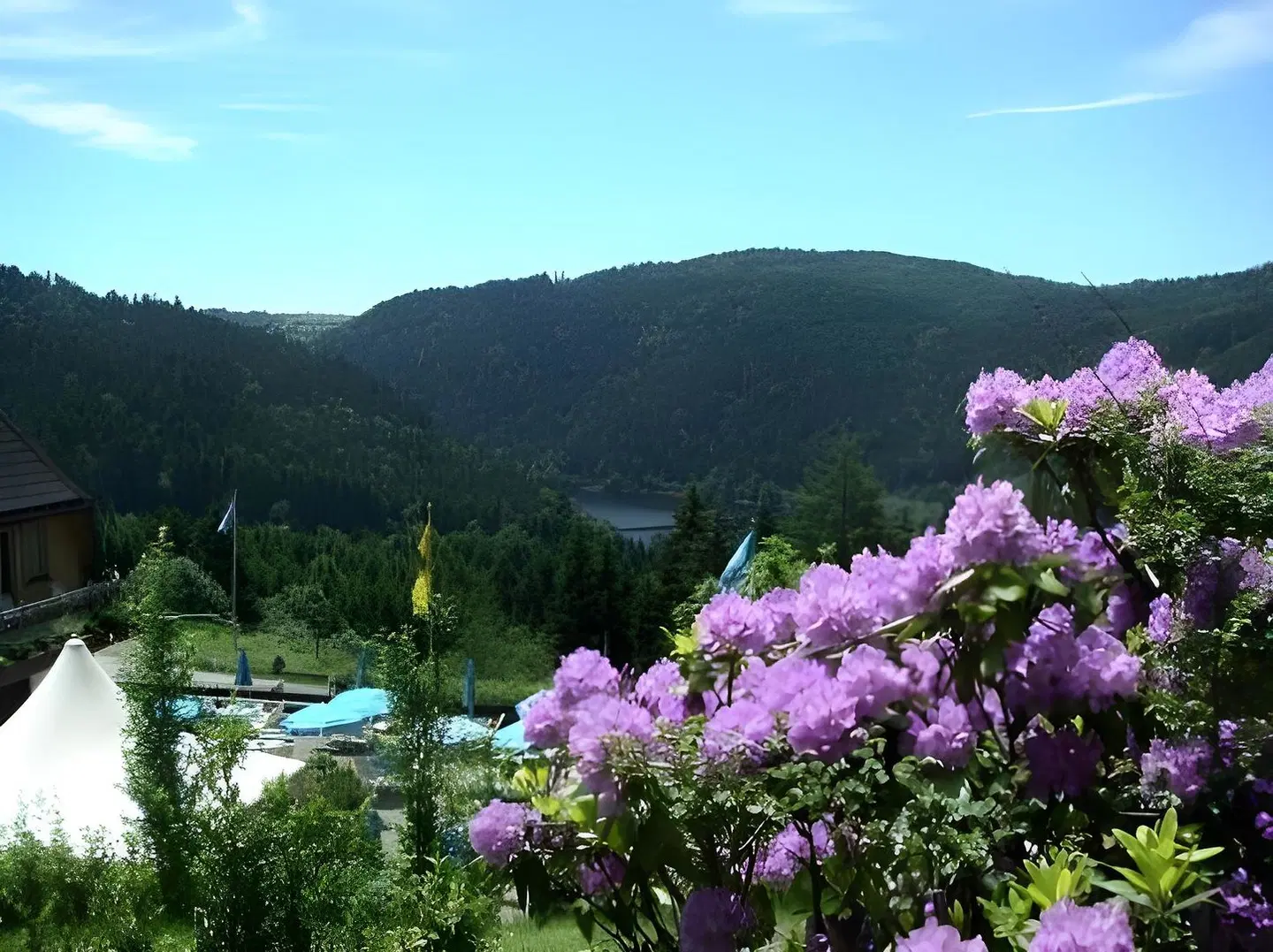 Albtalblick LANDSCAPE