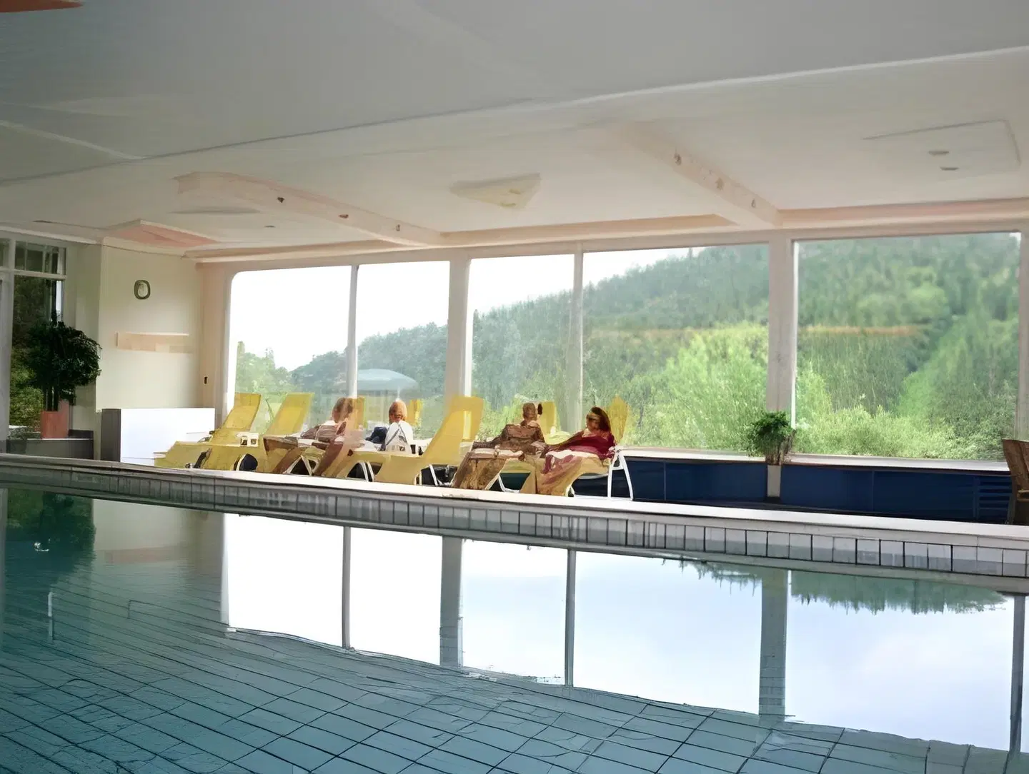 Naturparkhotel Grüner Baum Hallenbad