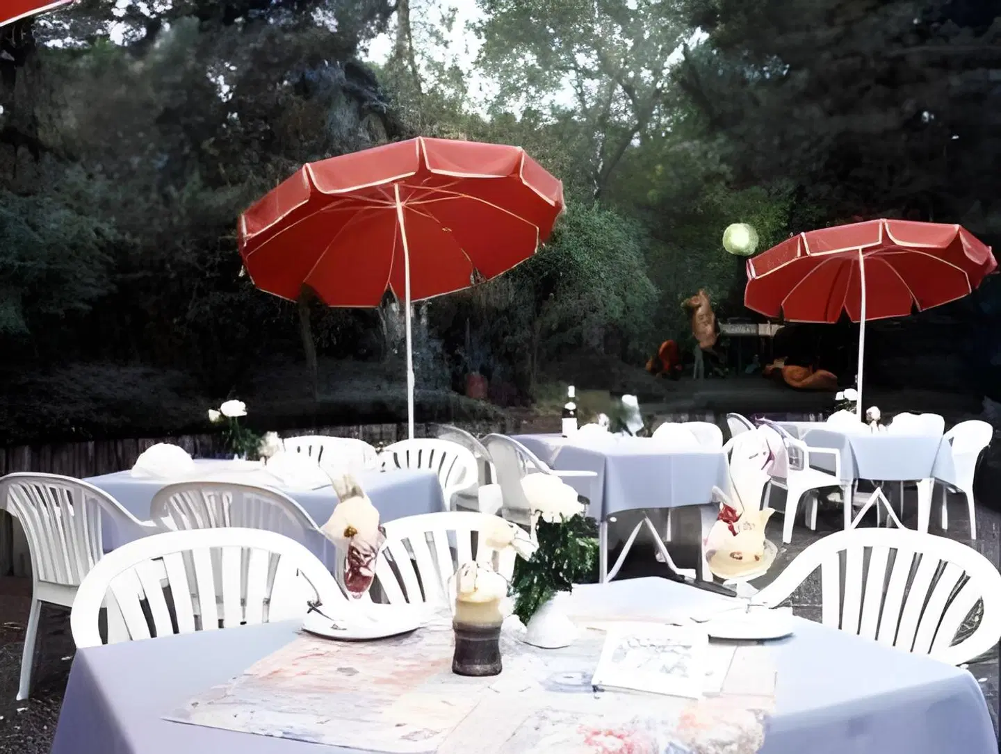 Donaublick Restaurant