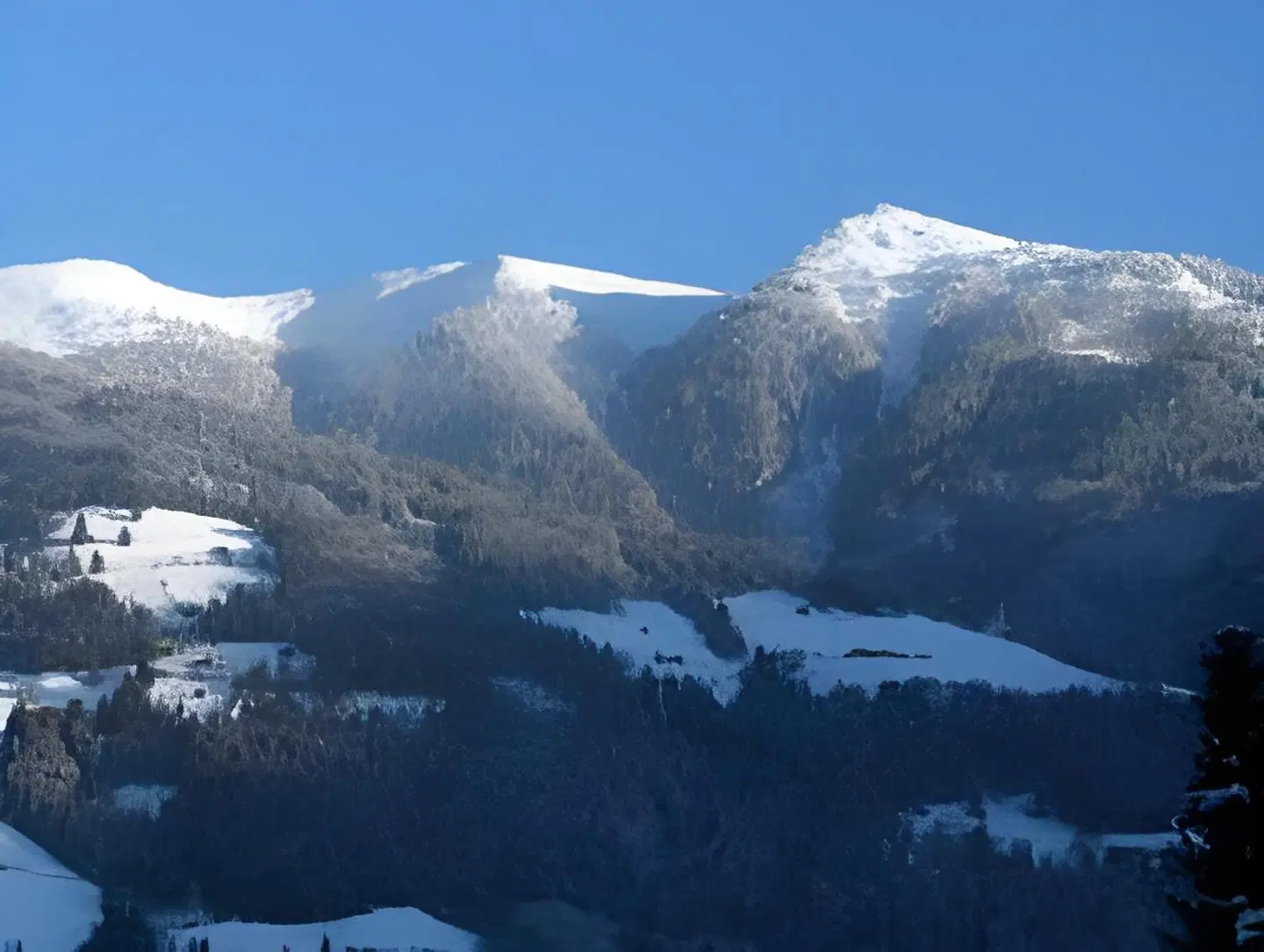 Edelweiss LANDSCAPE