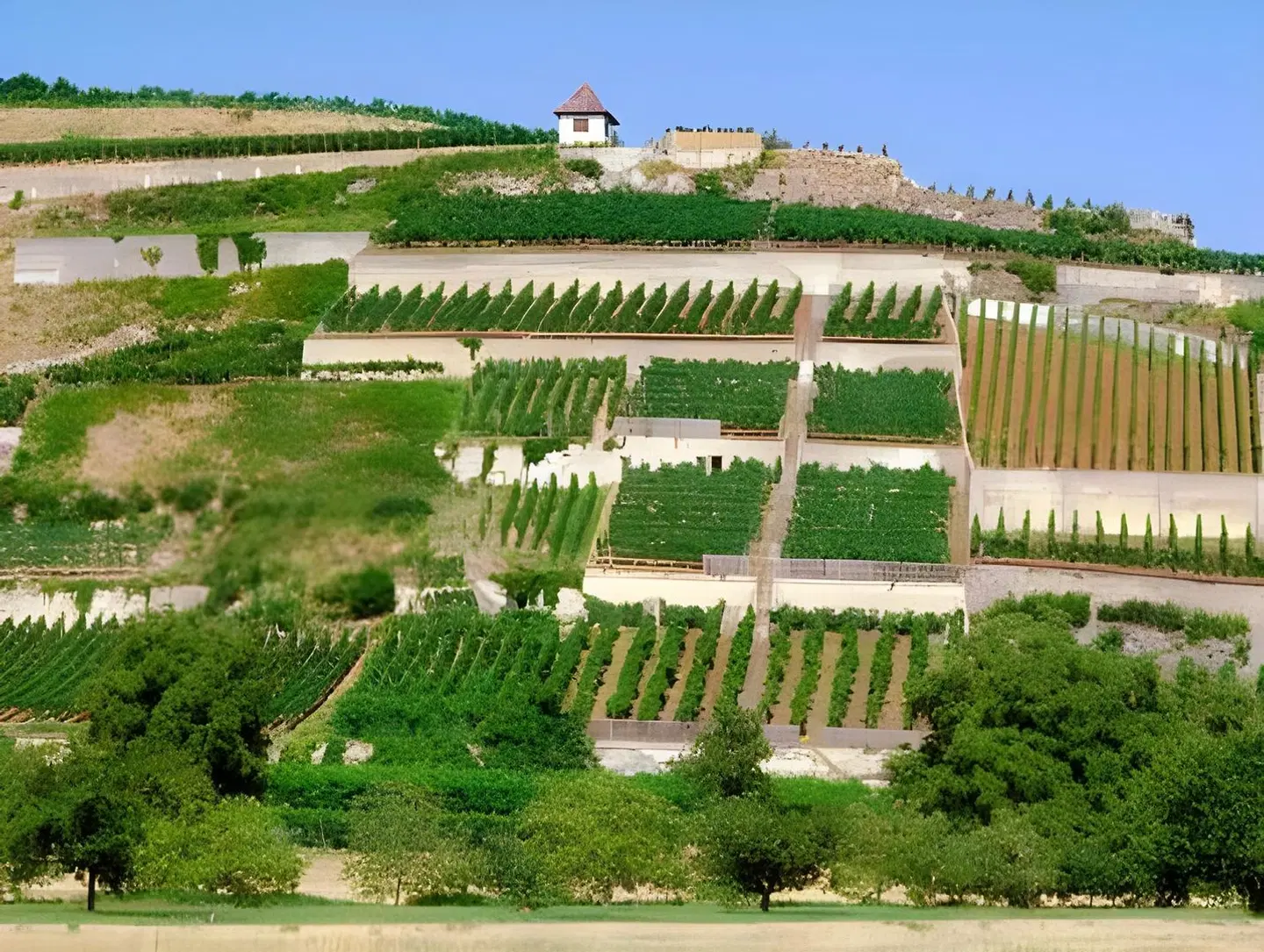 Winzerstube Garten