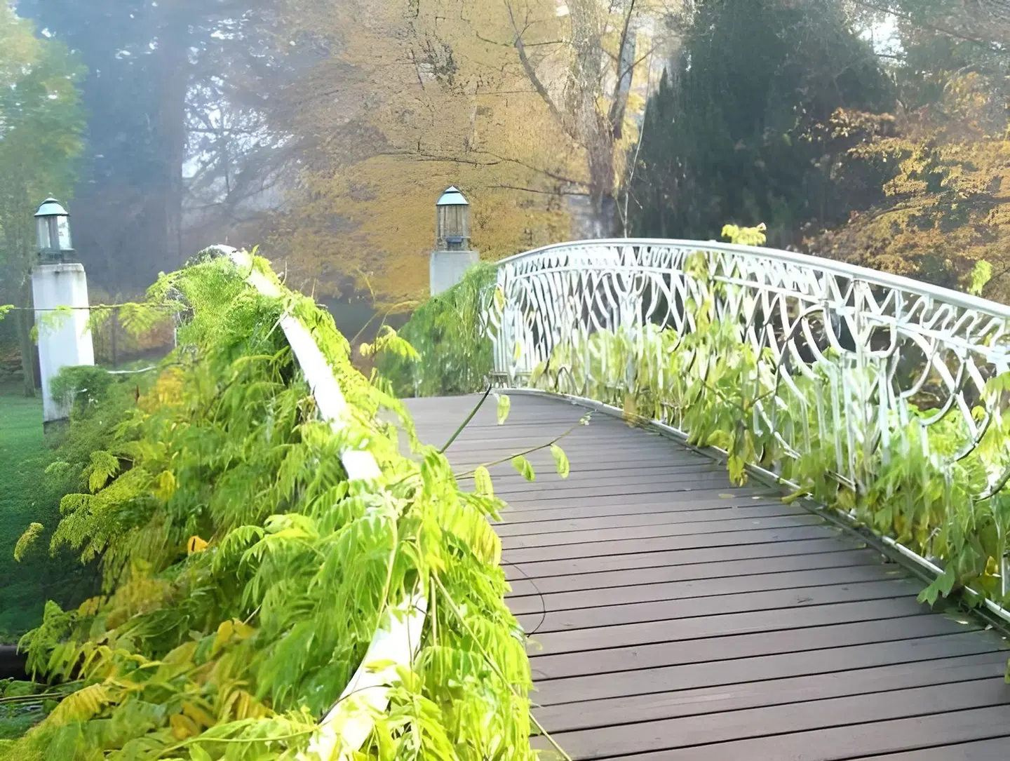 Beek LANDSCAPE